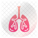 Pulmones  Icono