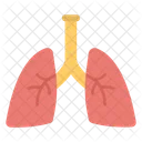 Respiratorio Organo Pulmones Icono