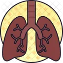 Pulmones Respiracion Respiratorio Icon