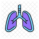 Pulmones  Icono