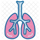 Pulmones  Icono