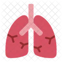 Pulmones  Icono