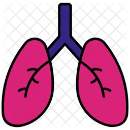 Pulmones  Icono