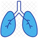 Pulmones  Icono