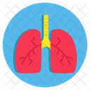 Pulmones Organo Respiratorio Organo Humano Icono