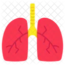 Pulmones Organo Respiratorio Organo Humano Icono