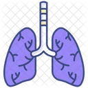 Pulmones Icono