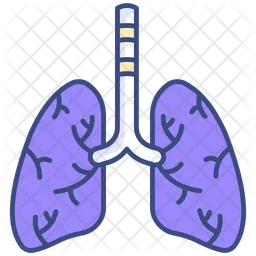 Pulmones  Icono