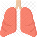 Pulmones Organos Atencion Sanitaria Icono