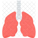 Pulmones  Icono