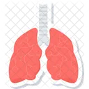 Los Pulmones Humano Organo Icono