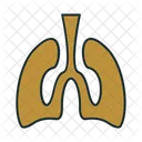 Pulmones  Icono