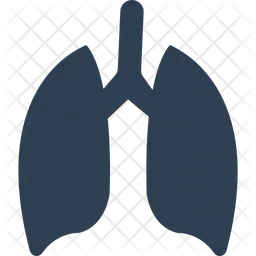 Pulmones  Icono