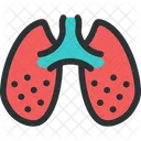 Pulmones Aliento Neumologia Icono