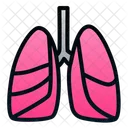 Pulmones  Icono