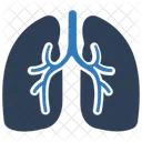 Pulmones  Icono