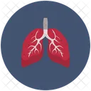 Los Pulmones Organo Humano Icono