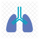 Pulmones  Icono