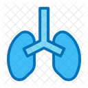 Pulmones  Icono