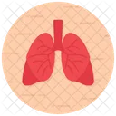 Pulmones Neumologia Tracto Respiratorio Icono