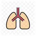 Pulmones  Icono