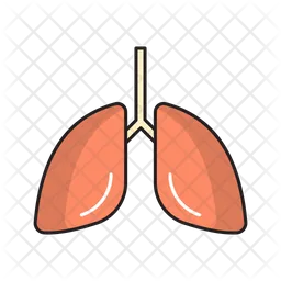 Pulmones  Icono