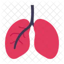 Pulmones Cuerpo Respiracion Icono