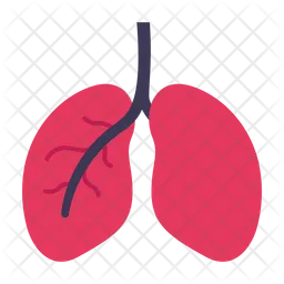 Pulmones  Icono