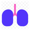 Los Pulmones Organo Medico Icono