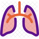 Pulmones  Icono