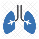 Pulmones  Icono