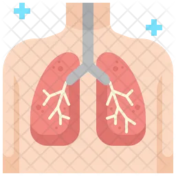 Pulmones  Icono