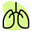 Pulmones Organo Anatomia Icon