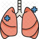 Pulmones  Icono