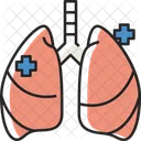 Pulmones  Icono