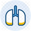 Pulmones Medico Anatomia Icon