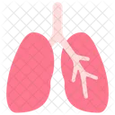 Sistema Respiratorio Pulmones Personas Icono