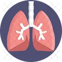 Anatomia Humana Pulmones Organo Icono