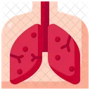 Pulmones  Icono