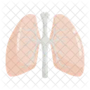 Pulmones  Icono