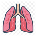 Pulmones  Icono