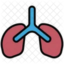 Pulmones  Icono