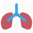 Pulmones  Icon