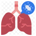 Pulmones  Icono