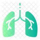 Pulmones  Icono