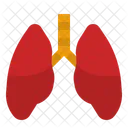 Pulmones  Icono