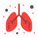 Pulmones  Icono