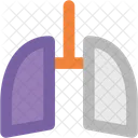 Pulmones Respiracion Respiratoria Icono