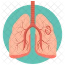 Pulmones  Icon