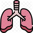 Pulmones  Icono